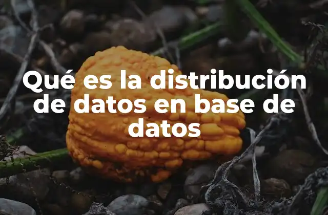 Qué es la Distribución de Datos en Base de Datos
