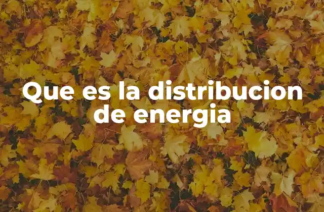 Que es la Distribucion de Energia