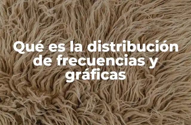 Qué es la Distribución de Frecuencias y Gráficas