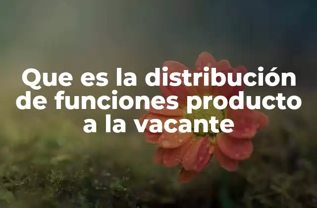 Que es la Distribución de Funciones Producto a la Vacante