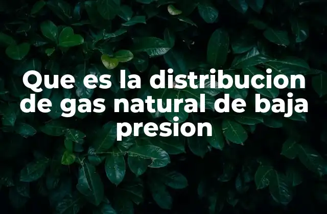 Que es la Distribucion de Gas Natural de Baja Presion