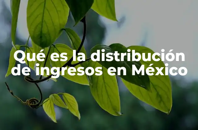 Qué es la Distribución de Ingresos en México