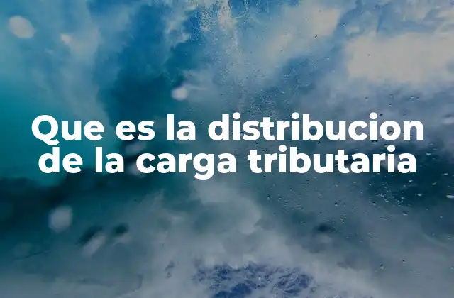 Que es la Distribucion de la Carga Tributaria