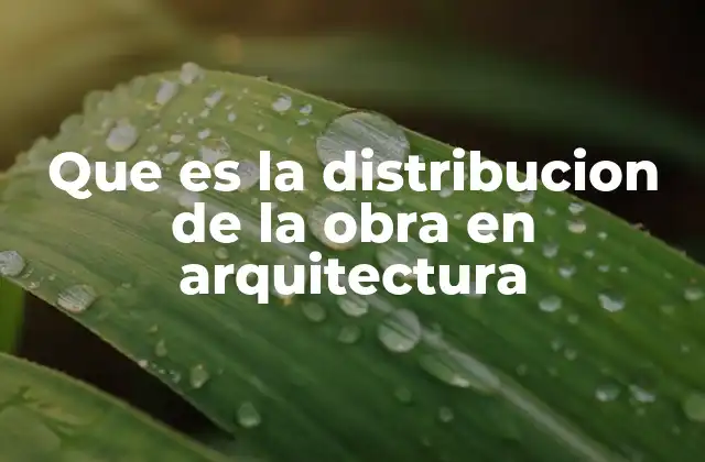 Que es la Distribucion de la Obra en Arquitectura