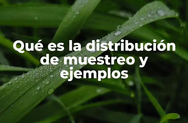 Qué es la Distribución de Muestreo y Ejemplos