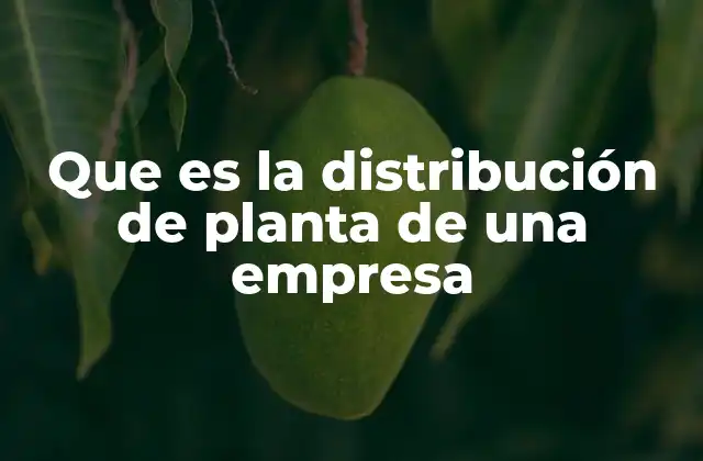 Que es la Distribución de Planta de una Empresa