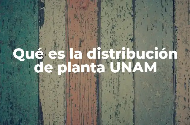 Qué es la Distribución de Planta Unam