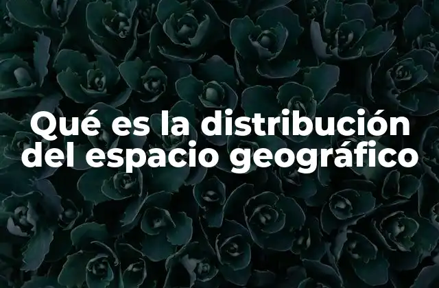 La organización espacial como reflejo de la realidad