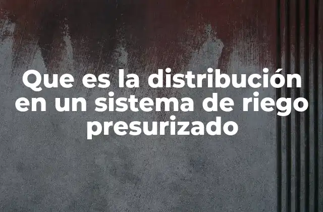 Que es la Distribución en un Sistema de Riego Presurizado