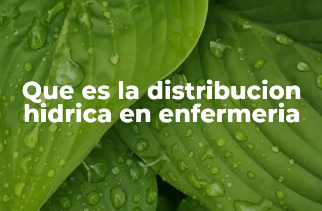 Que es la Distribucion Hidrica en Enfermeria