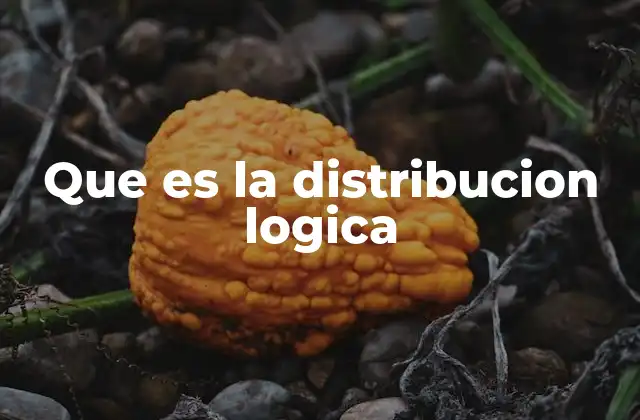 Que es la Distribucion Logica