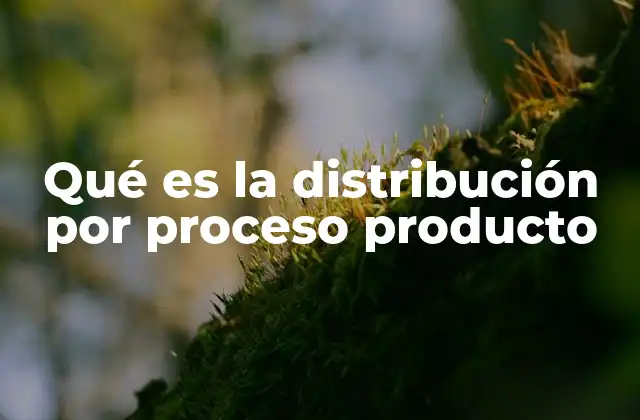 Qué es la Distribución por Proceso Producto