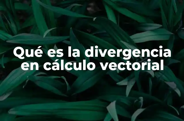 Qué es la Divergencia en Cálculo Vectorial