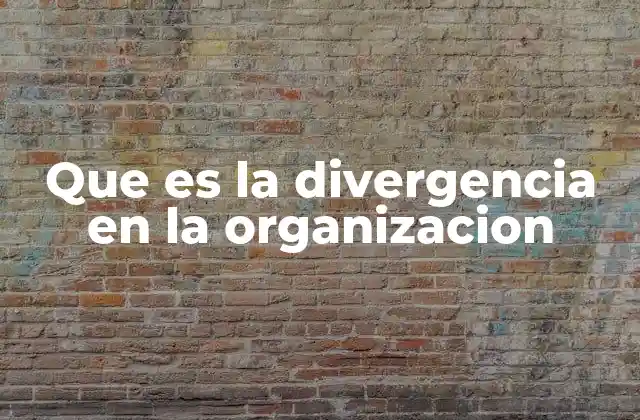 Que es la Divergencia en la Organizacion