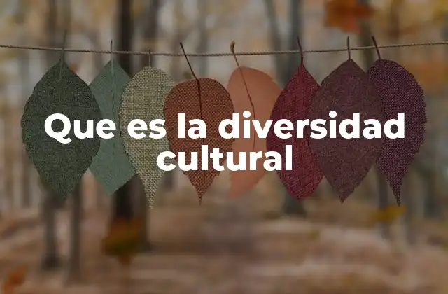 Que es la Diversidad Cultural 2 El valor de las múltiples expresiones humanas