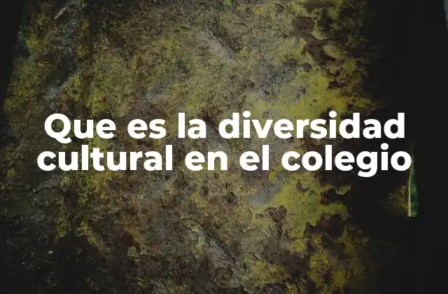 Que es la Diversidad Cultural en el Colegio