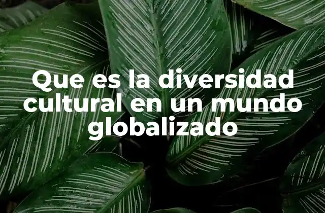 Que es la Diversidad Cultural en un Mundo Globalizado