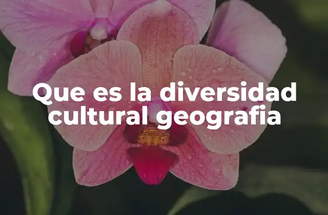 Que es la Diversidad Cultural Geografia
