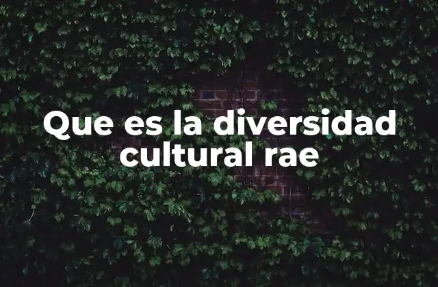 Que es la Diversidad Cultural Rae 2 La importancia de reconocer las diferencias culturales en el contexto global