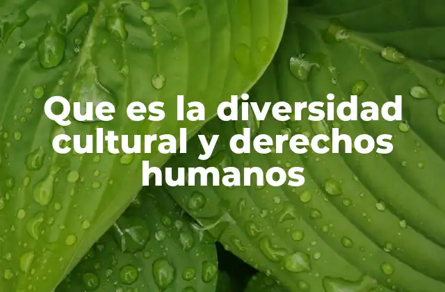 Que es la Diversidad Cultural y Derechos Humanos