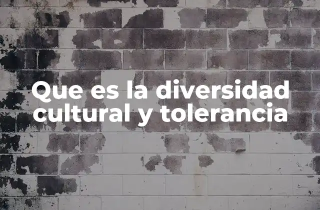 Que es la Diversidad Cultural y Tolerancia