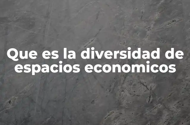 Que es la Diversidad de Espacios Economicos