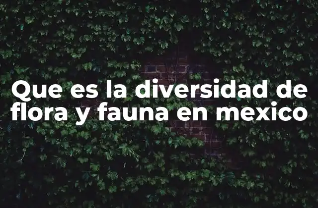 Que es la Diversidad de Flora y Fauna en Mexico