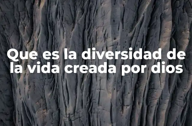 Que es la Diversidad de la Vida Creada por Dios 2 La belleza de la creación en todas sus formas
