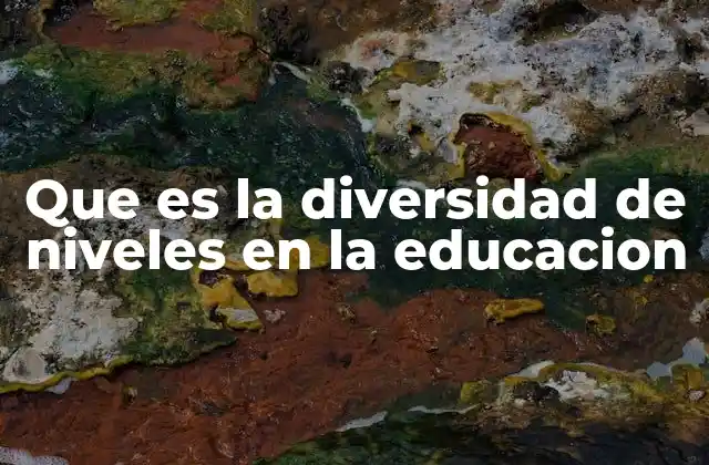 Que es la Diversidad de Niveles en la Educacion 2 El impacto de la diversidad en el aula
