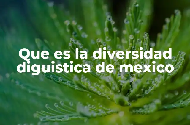 Que es la Diversidad Diguistica de Mexico 2 El papel de las lenguas indígenas en la identidad mexicana