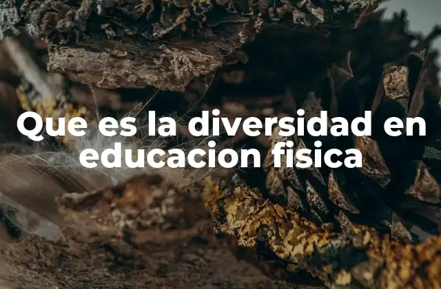 Que es la Diversidad en Educacion Fisica
