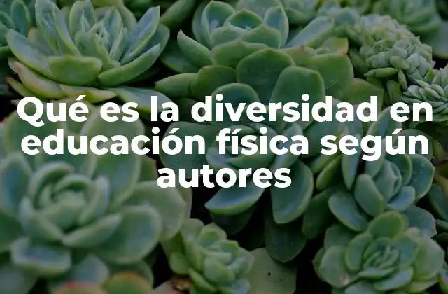 Qué es la Diversidad en Educación Física según Autores