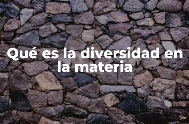 Qué es la Diversidad en la Materia