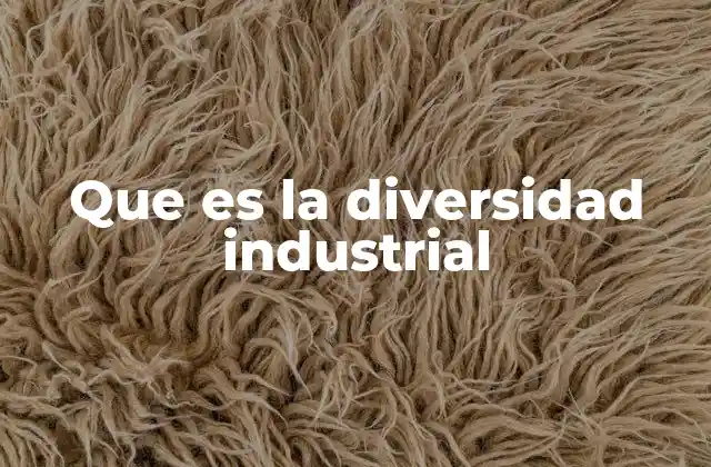 Que es la Diversidad Industrial 2 El desarrollo económico y la diversidad industrial