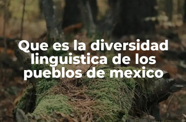 Que es la Diversidad Linguistica de los Pueblos de Mexico 2 La importancia de las lenguas indígenas en la identidad cultural