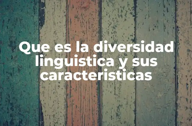 Que es la Diversidad Linguistica y Sus Caracteristicas