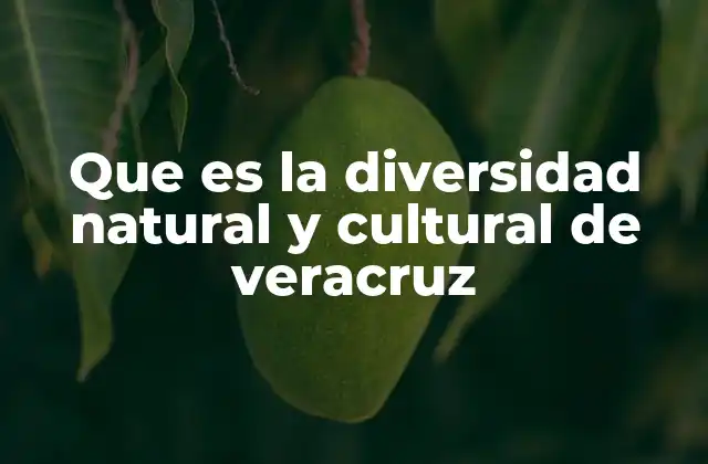 Que es la Diversidad Natural y Cultural de Veracruz