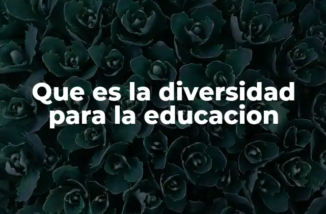 Que es la Diversidad para la Educacion