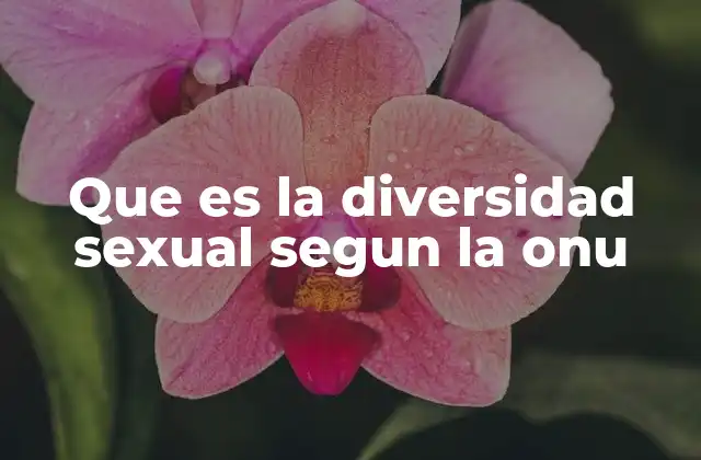Que es la Diversidad Sexual Segun la Onu