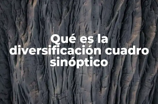 Cómo aplicar la diversificación en distintos ámbitos con ayuda de un cuadro sinóptico