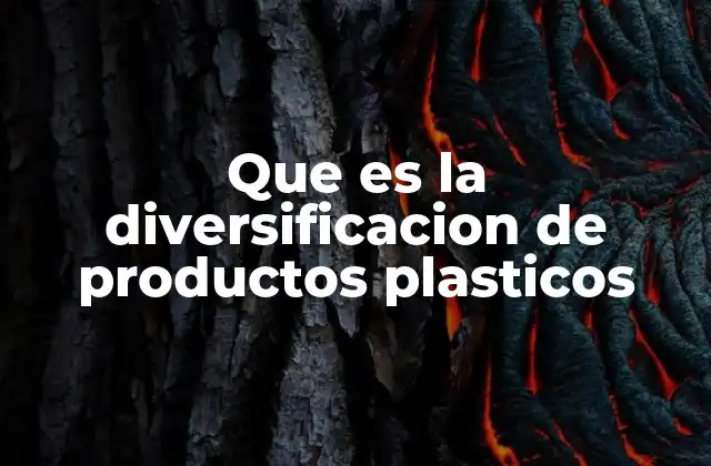 Que es la Diversificacion de Productos Plasticos