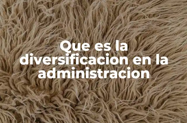 Que es la Diversificacion en la Administracion