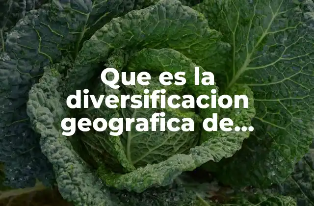 Estrategias para expandirse a múltiples mercados