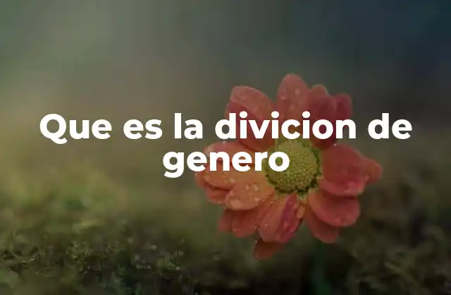 Que es la Divicion de Genero