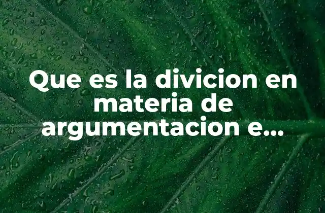Que es la Divicion en Materia de Argumentacion e Interpretacion