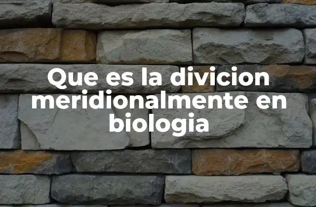 Que es la Divicion Meridionalmente en Biologia