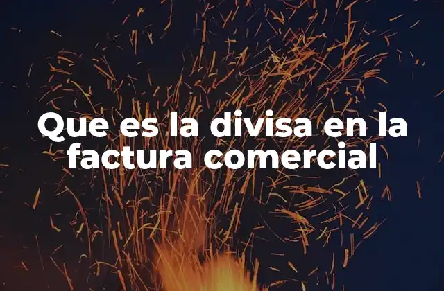 Que es la Divisa en la Factura Comercial 2 La importancia de incluir la divisa en la factura comercial