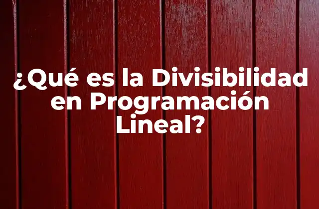 ¿qué es la Divisibilidad en Programación Lineal?