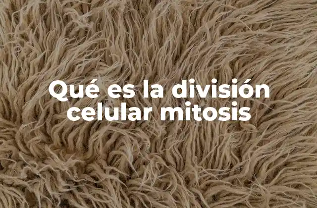 Qué es la División Celular Mitosis