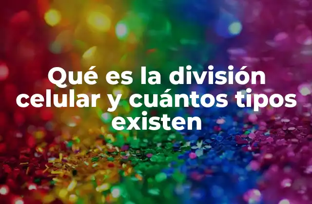 Qué es la División Celular y Cuántos Tipos Existen